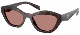 Gafas de Sol - Prada - SPR A02S - 17N60B  TORTOISE ROOT // LIGHT BROWN