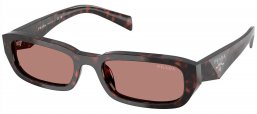 Gafas de Sol - Prada - SPR B06S - 17N60B  TORTOISE ROOT // LIGHT BROWN