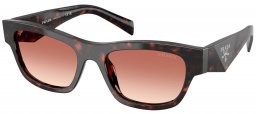 Gafas de Sol - Prada - SPR B09S - 17N50L  TORTOISE ROOT // LIGHT BROWN GRADIENT BORDEAUX