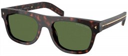 Gafas de Sol - Prada - SPR B12S - 17N20G  TORTOISE ROOT // GREEN POLARIZED
