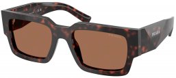 Gafas de Sol - Prada - SPR B17S - 17N06B  TORTOISE ROOT // DARK BROWN