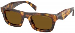Gafas de Sol - Prada - SPR C06S - 14L10U  HAVANA HONEY // DARK BROWN POLARIZED