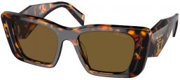 Sunglasses - Prada - SPR 08YS - VAU01T  HONEY AND TURTLE // DARK BROWN