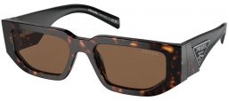 Sunglasses - Prada - SPR 09ZS - 2AU06B TORTOISE // DARK BROWN