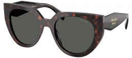 Gafas de Sol - Prada - SPR 14WS - 17N40L  TORTOISE ROOT // DARK GREY