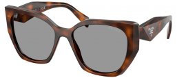 Gafas de Sol - Prada - SPR 19ZS - 20D50Q  TORTOISE JUNIPER // GREY