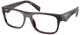 Frames - Prada - VPR 22ZV - 17N1O1  TORTOISE ROOT