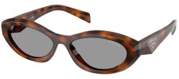 Gafas de Sol - Prada - SPR 26ZS - 20D50Q  TORTOISE JUNIPER // GREY