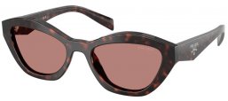 Gafas de Sol - Prada - SPR A02S - 17N60B  TORTOISE ROOT // LIGHT BROWN
