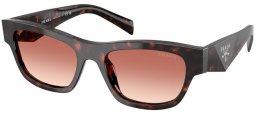 Gafas de Sol - Prada - SPR B09S - 17N50L  TORTOISE ROOT // LIGHT BROWN GRADIENT BORDEAUX