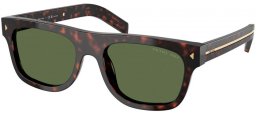 Gafas de Sol - Prada - SPR B12S - 17N20G  TORTOISE ROOT // GREEN POLARIZED