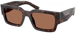 Gafas de Sol - Prada - SPR B17S - 17N06B  TORTOISE ROOT // DARK BROWN