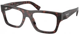 Monturas - Prada - VPR C01V - 17N1O1  ROOT TORTOISE