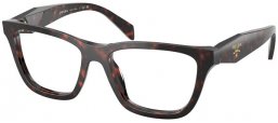 Monturas - Prada - VPR C10V - 17N1O1  ROOT TORTOISE