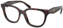 Monturas - Prada - VPR C11V - 17N1O1  ROOT TORTOISE