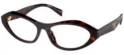 Frames - Prada - VPR A21V - 17N1O1 ROOT TORTOISE