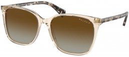 Gafas de Sol - RALPH Ralph Lauren - RA5293 VVCV - 6072T5  SHINY TRANSPARENT BROWN // BROWN GRADIENT POLARIZED