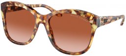 Sunglasses - Ralph Lauren - RL8190Q - 605613  YELLOW HAVANA // BROWN GRADIENT