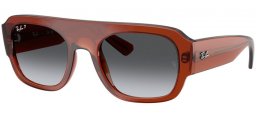 Gafas de Sol - Ray-Ban® - Ray-Ban® RB2218 - 6678T3  TRANSPARENT BROWN // GREY GRADIENT POLARIZED