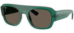 Gafas de Sol - Ray-Ban® - Ray-Ban® RB2218 - 6681/3 TRANSPARENT GREEN // BROWN