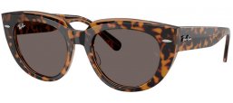 Lunettes de soleil - Ray-Ban® - Ray-Ban® RB2286 DOREEN - 1292B1  HAVANA ON TRANSPARENT BROWN // DARK GREY