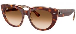 Lunettes de soleil - Ray-Ban® - Ray-Ban® RB2286 DOREEN - 141451  LIGHT HAVANA ON TRANSPARENT MULTICOLOR // BROWN GRADIENT TRANSPARENT