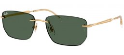 Ray-Ban® RB3768