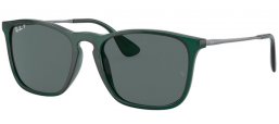 Sunglasses - Ray-Ban® - Ray-Ban® RB4187 CHRIS - 666381 TRANSPARENT GREEN // DARK GREY POLARIZED