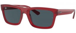 Ray-Ban® RB4396 WARREN