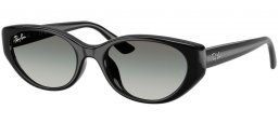 Gafas de Sol - Ray-Ban® - Ray-Ban® RB4457D - 667711  BLACK // GREY GRADIENT