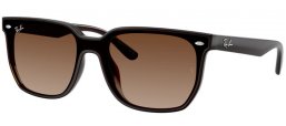 Ray-Ban® RB4466D