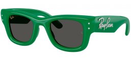 Gafas de Sol - Ray-Ban® - Ray-Ban® RB4940B WAYFARER PUFFER - 685987  GREEN AND STRASS // DARK GREY