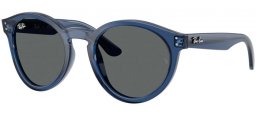 Gafas de Sol - Ray-Ban® - Ray-Ban® RBR0505S 2180 REVERSE - 6708GR  TRANSPARENT NAVY BLUE // DARK GREY