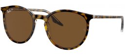 Sunglasses - Ray-Ban® - Ray-Ban® RB2204 - 139357 HAVANA ON TRANSPARENT // BROWN POLARIZED