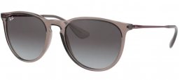 Sunglasses - Ray-Ban® - Ray-Ban® RB4171 ERIKA - 65138G TRANSPARENT GREY // LIGHT GREY GRADIENT DARK GREY