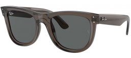 Gafas de Sol - Ray-Ban® - Ray-Ban® RBR0502S WAYFARER REVERSE - 6707GR  TRANSPARENT DARK GREY // DARK GREY