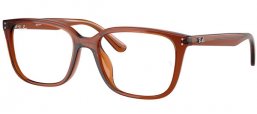 Frames - Ray-Ban® - RX7248D - 8409  TRANSPARENT BROWN