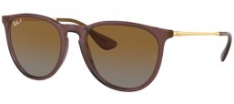 Sunglasses - Ray-Ban® - Ray-Ban® RB4171 ERIKA - 6593T5 TRANSPARENT DARK BROWN // BROWN GRADIENT POLARIZED