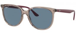 Gafas de Sol - Ray-Ban® - Ray-Ban® RB4378 - 65722V TRANSPARENT GREY // DARK BLUE POLARIZED