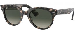 Ray-Ban® RB2199 ORION