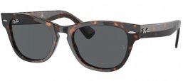 Ray-Ban® RB2201 LARAMIE