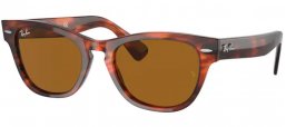 Ray-Ban® RB2201 LARAMIE
