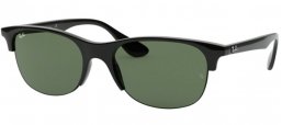 Ray-Ban® RB4419