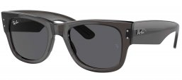 Gafas de Sol - Ray-Ban - RB0840S MEGA WAYFARER - 1406B1  TRANSPARENT BLACK // DARK GREY