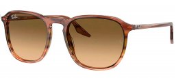 Gafas de Sol - Ray-Ban - RB2197 ELLIOT - 13920A  STRIPED BROWN GREEN // BLACK GRADIENT BROWN
