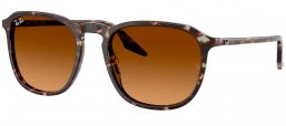 Gafas de Sol - Ray-Ban - RB2203 - 143185  YELLOW HAVANA // BROWN GRADIENT