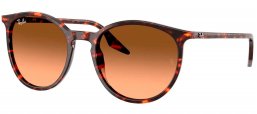Gafas de Sol - Ray-Ban - RB2204 - 14293B  RED HAVANA // BLACK GRADIENT PINK