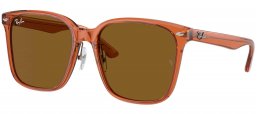Gafas de Sol - Ray-Ban - RB2206D - 663673  TRANSPARENT BROWN // DARK BROWN