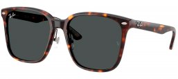 Gafas de Sol - Ray-Ban - RB2206D - 710/87  HAVANA // DARK GREY