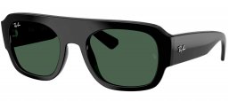 Gafas de Sol - Ray-Ban - RB2218 - 667771  BLACK // DARK GREEN